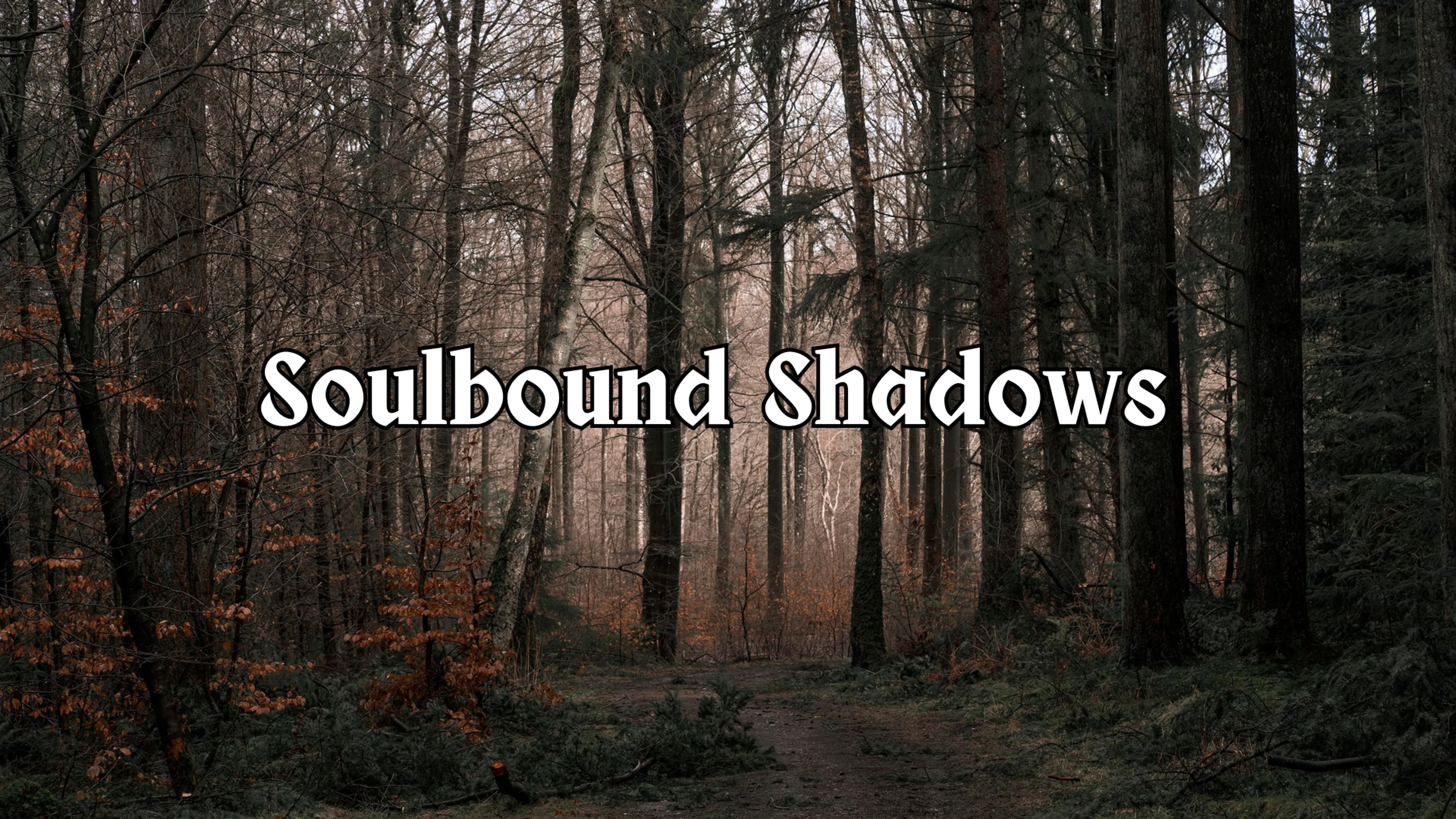 Soulbound Shadows poster